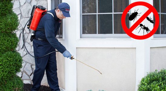 Onikişubat Akrep İlaçlama böcek ilaçlama ve haşere kontrolü — ilaclama-tr.com